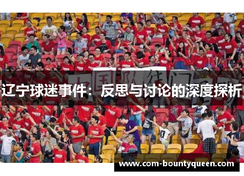 辽宁球迷事件：反思与讨论的深度探析