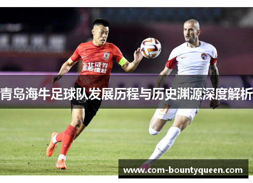青岛海牛足球队发展历程与历史渊源深度解析